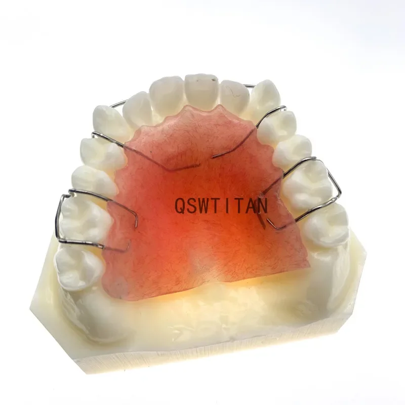 Tandheelkundig Functioneel Orthopedisch Bionator Verwijderbaar/Hawley Retainer Tandenmodel Dental Teach Study Model