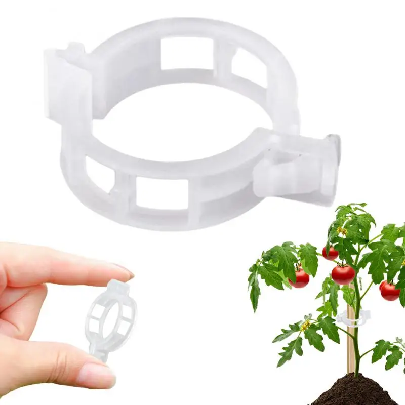 

Plant Clips Supports Reusable Plastic Connects Fixing Vine Tomato Stem Grafting Vegetable Plants Orchard and Garden Tools