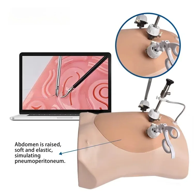 Medical USB Camera Laparoscopic Trainer Box Abdominal Training Emulator for Surgery