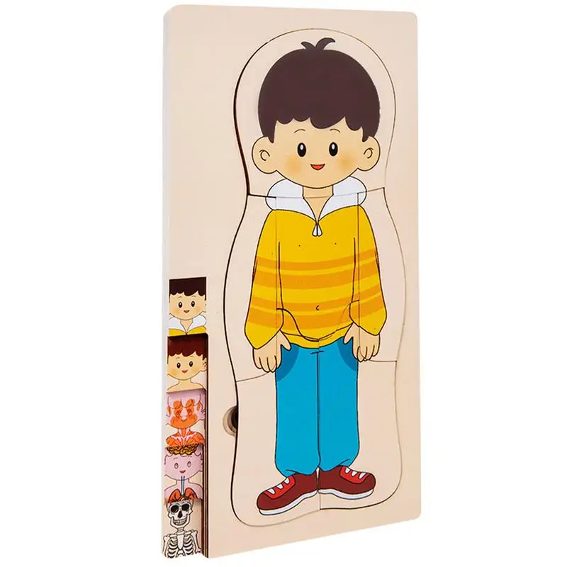 

Human Body Puzzle Anatomy For Kids Learning Creative Realistic Jigsaw Games For Homeschool Preschool Lab Classroom Science