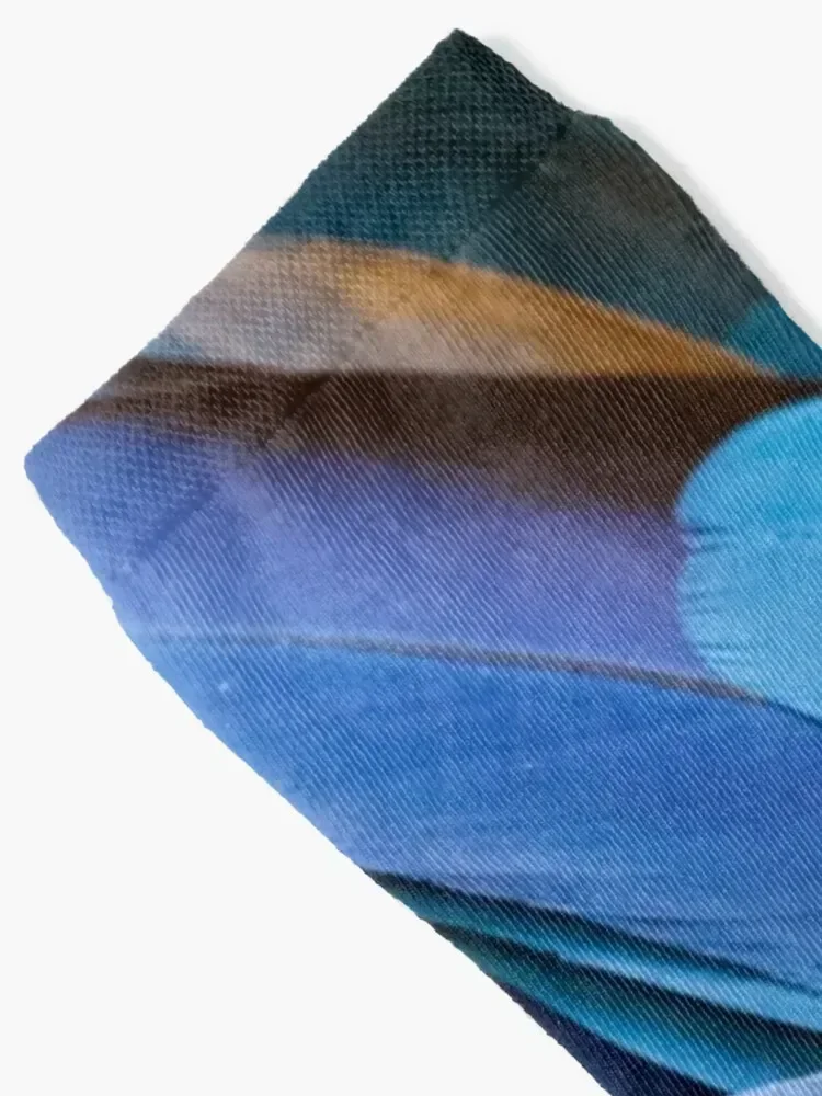 Close up of beautiful bird feathers of Blue and Yellow Macaw Socks moving stockings floral Rugby Woman Socks Men's