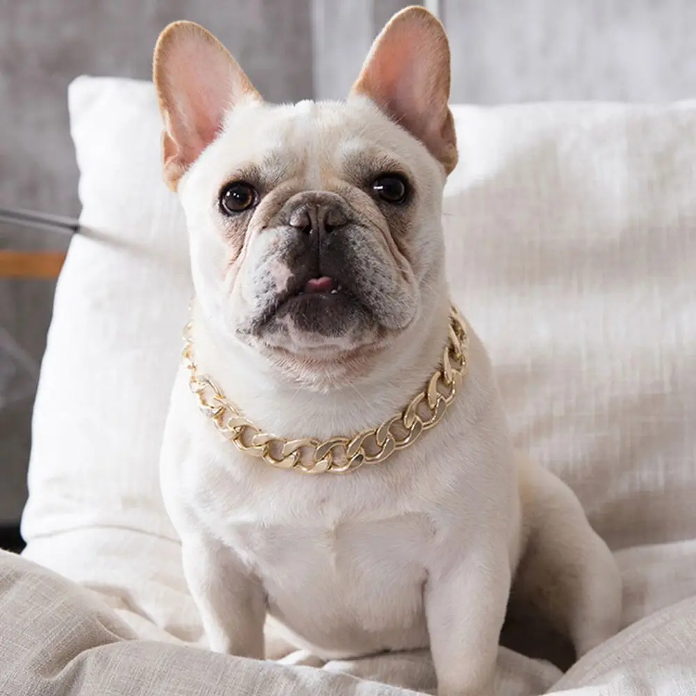 No Discoloration Plastic Pet Accessory Small Dog Not Fade for French Bulldog Pet Chain Cat Collar Dog Gold Chain Dog Necklace