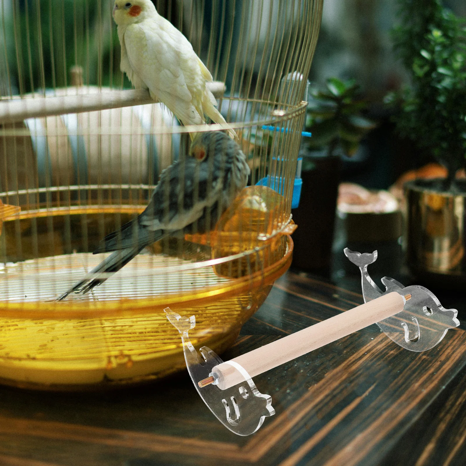 

Parrot Perch Stand Durable Acrylic Wood Bird Training Tool Gift Exercise Happy Mood Parakeet Perch Stand Bird Standing Rack