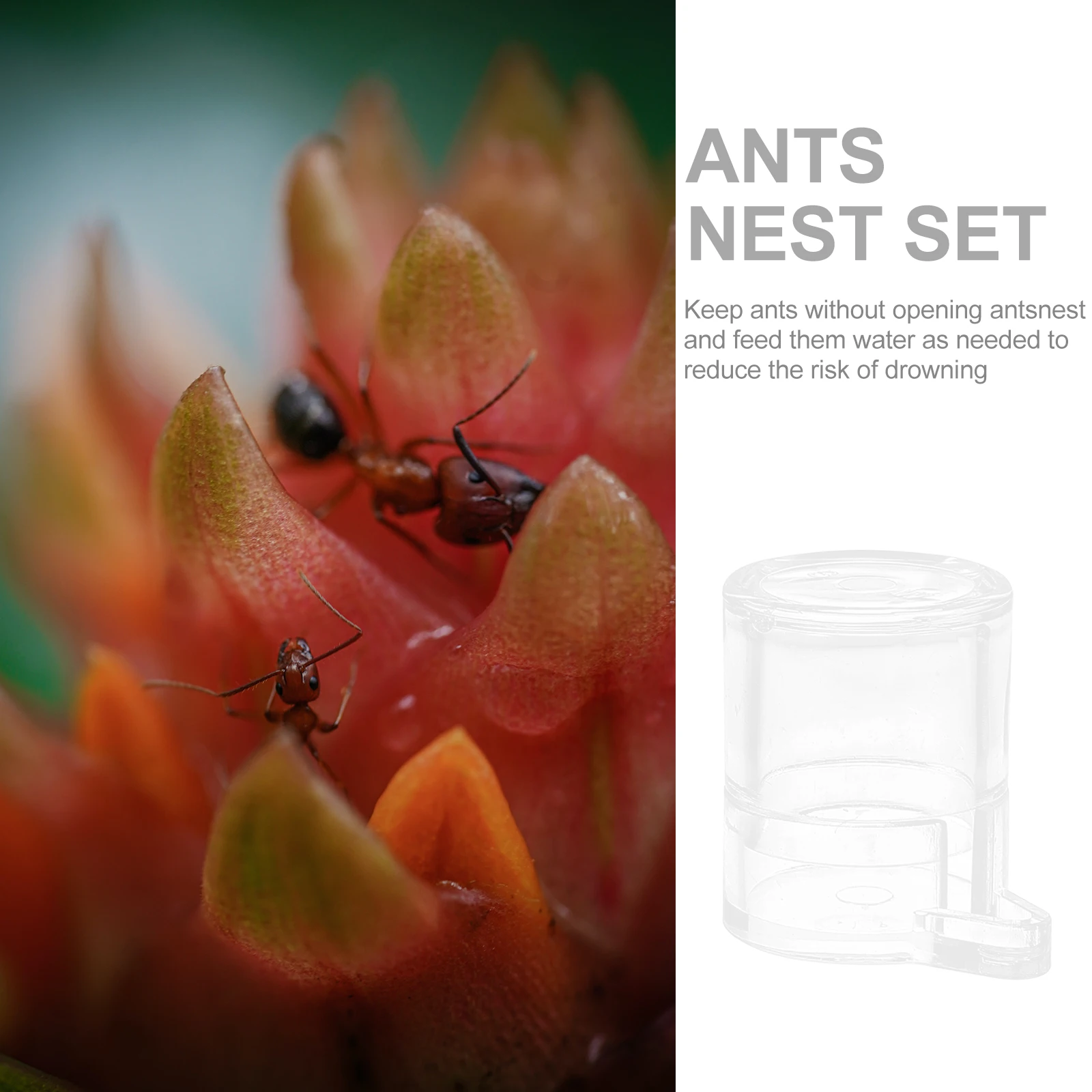 

Ants Nest Water Feeding Tool Acrylic Durable Design Easy Operation Long Time Use Ants Feeding System Nest Breeding Box