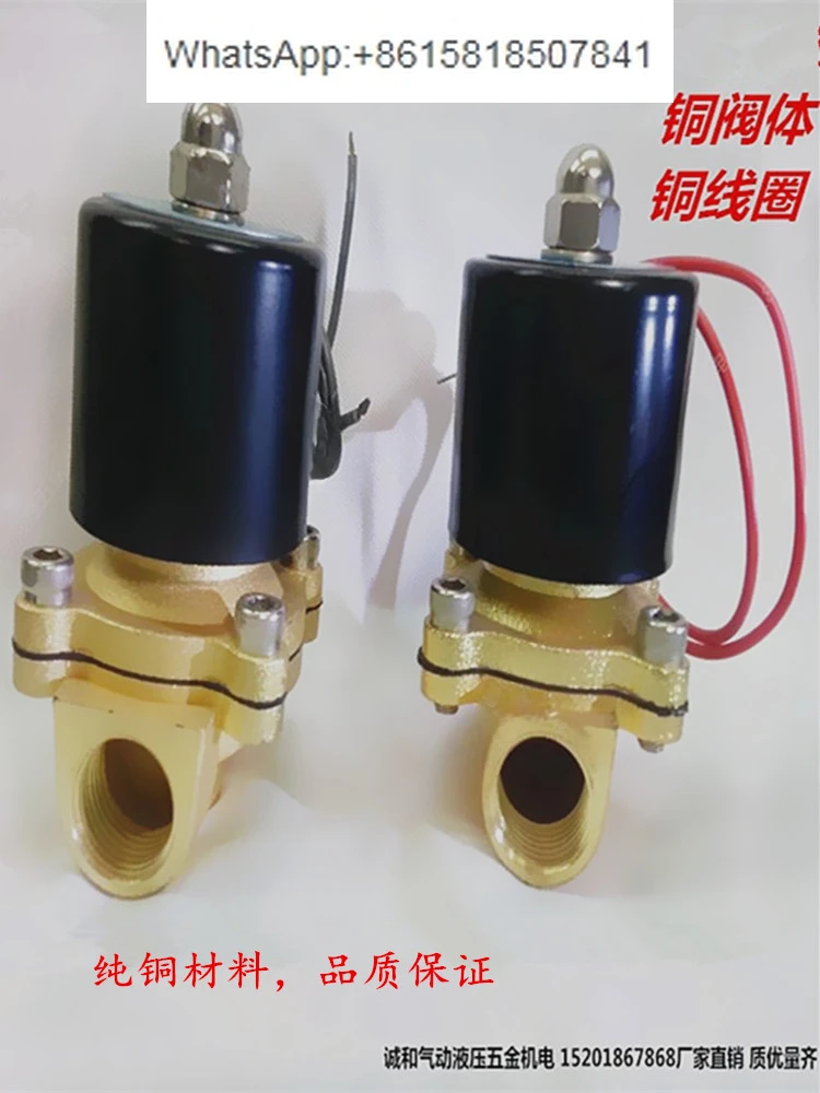 2W025-08/040-10/160 -15/200-20/250 -25 All copper water valve gas solenoid valve ZG/NPT tooth