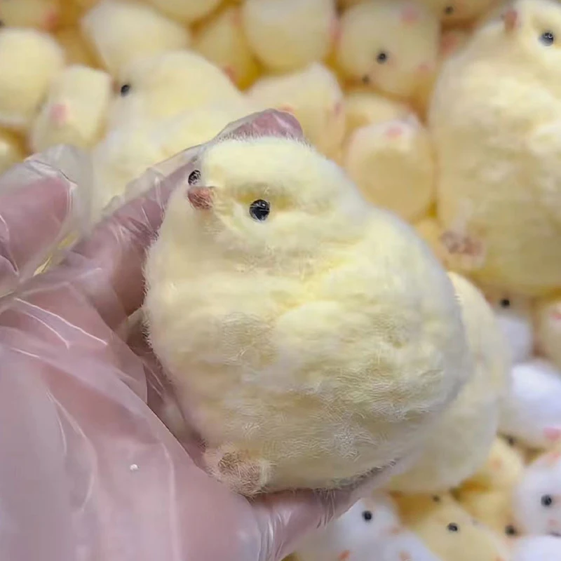 Cute Squishy Chick …