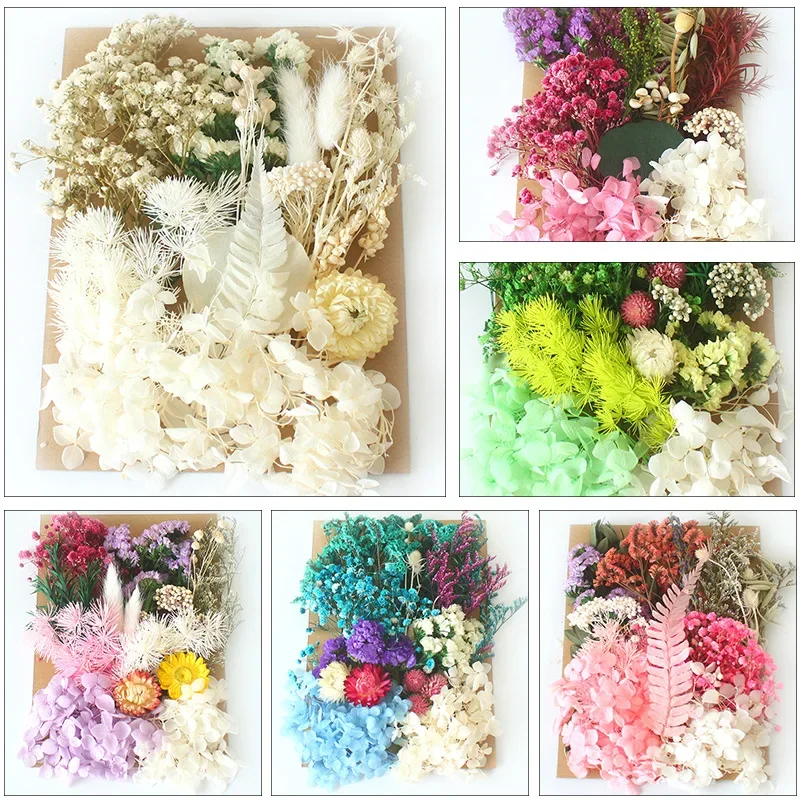 Eternal Natural Dried Pressed Flower Children Handmade Crafts for DIY Bookmark Candle Making Embroidered Ball Petal Decorations