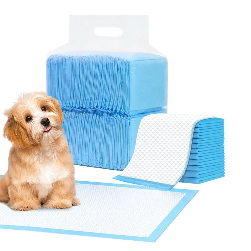 Hit Product Disposable Dogs And Cats Training Diapers Absorbent Quick Dry Pee Pads Puppy Mat Clean Cushion Dogs Cats Supplies