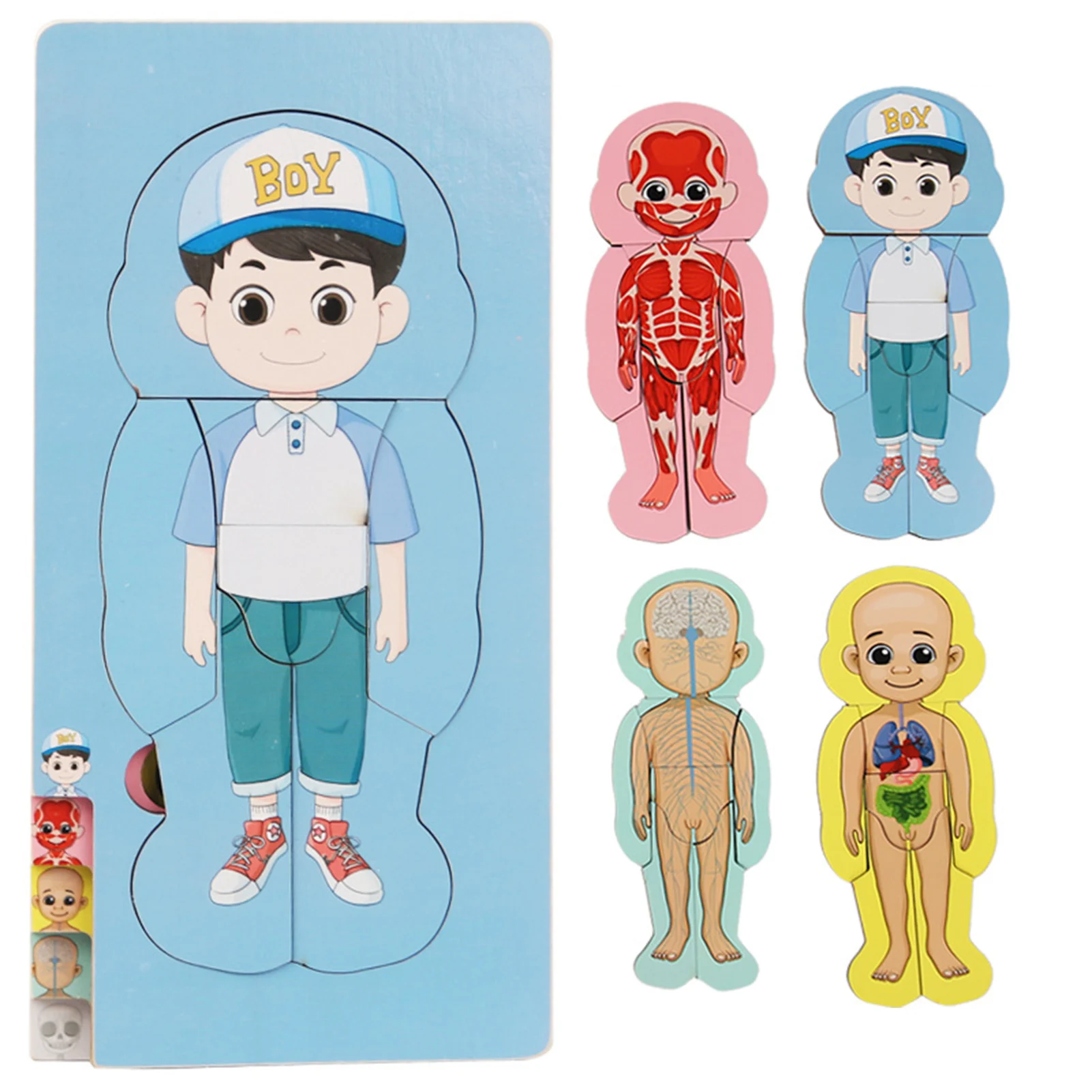 

Wooden 3D Human Body Educational Puzzles Creative Intelligence Jigsaw Puzzles Toy for Visual Cognitive Hands-on Ability Training