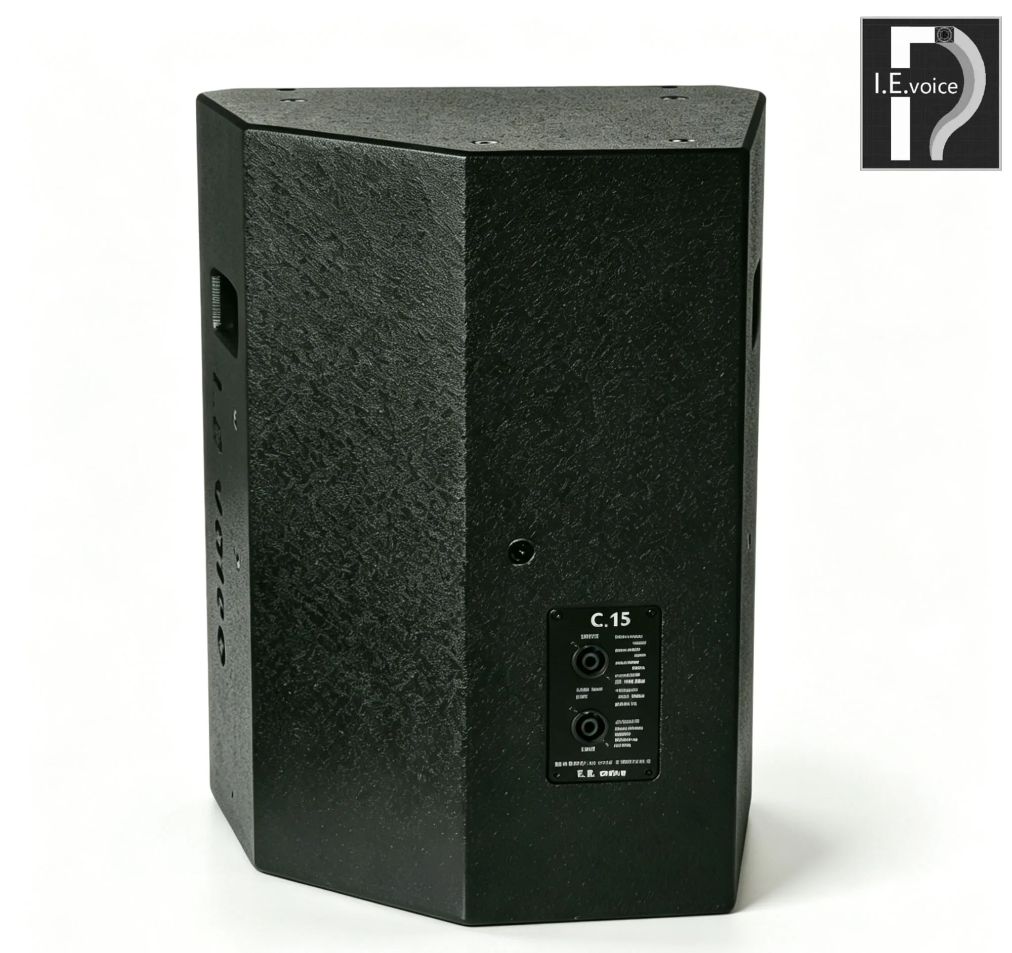 China Manufacturer L.E.voice OEM/ODM Waterproof DC Power Source 15-inch Two-way Coaxial Speaker