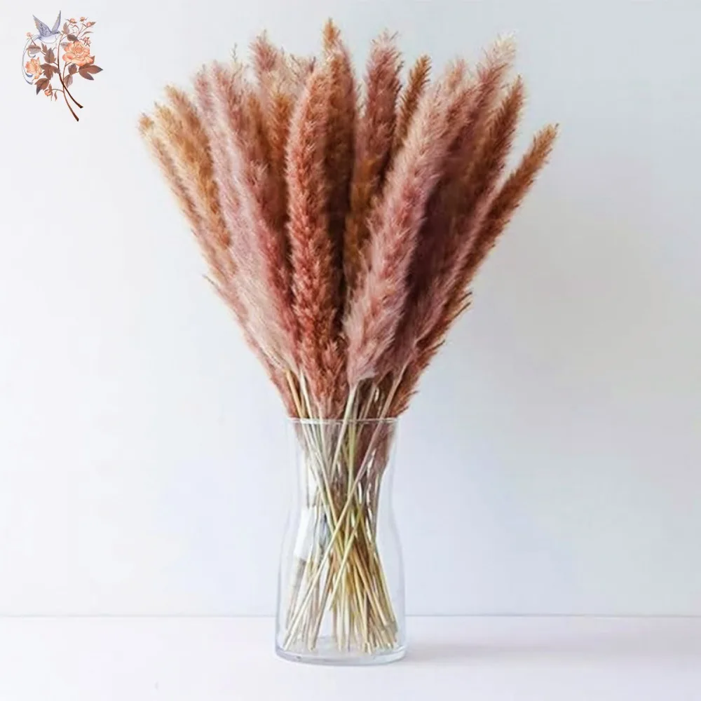 

30Pcs Natural Reed Dried Flowers Pampas Grass Bouquet Home Decoration Fluffy Phragmites Wedding Party Table Floral Arrangements