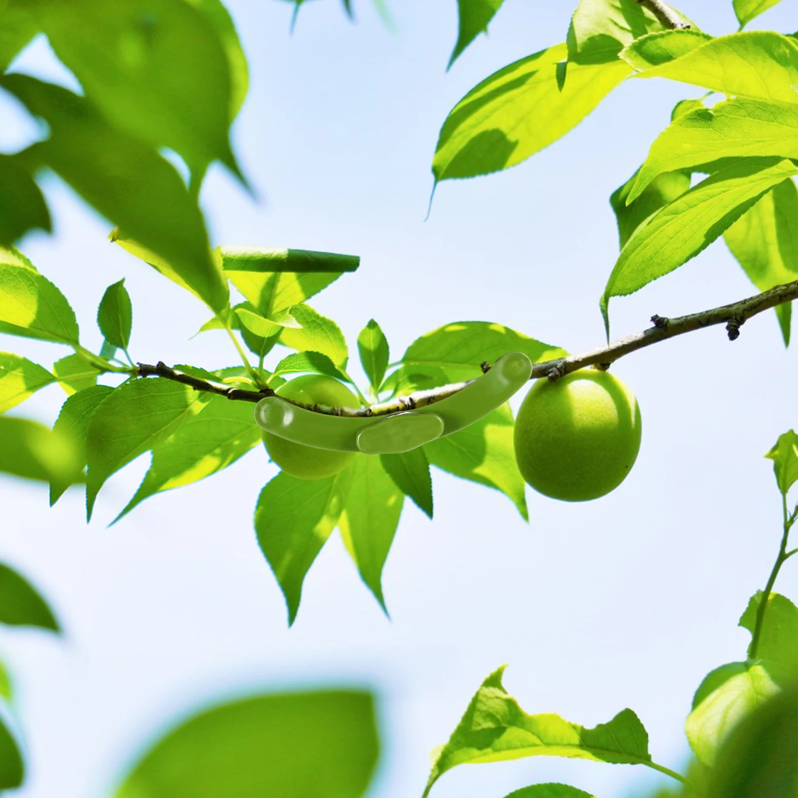 

5Pcs Plant Branch Benders Plastic Reusable Gardening Clips Adjustable Branch Puller for Fruit Trees Flowers Peach Pear Citrus