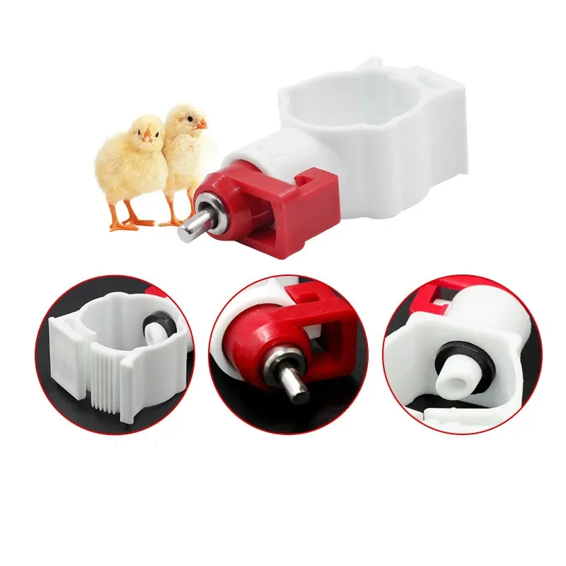 Chicken Nipple Drinker  with Automatic Steel Drinking Head Poultry Equipment 6 Points Copper Ball Tool