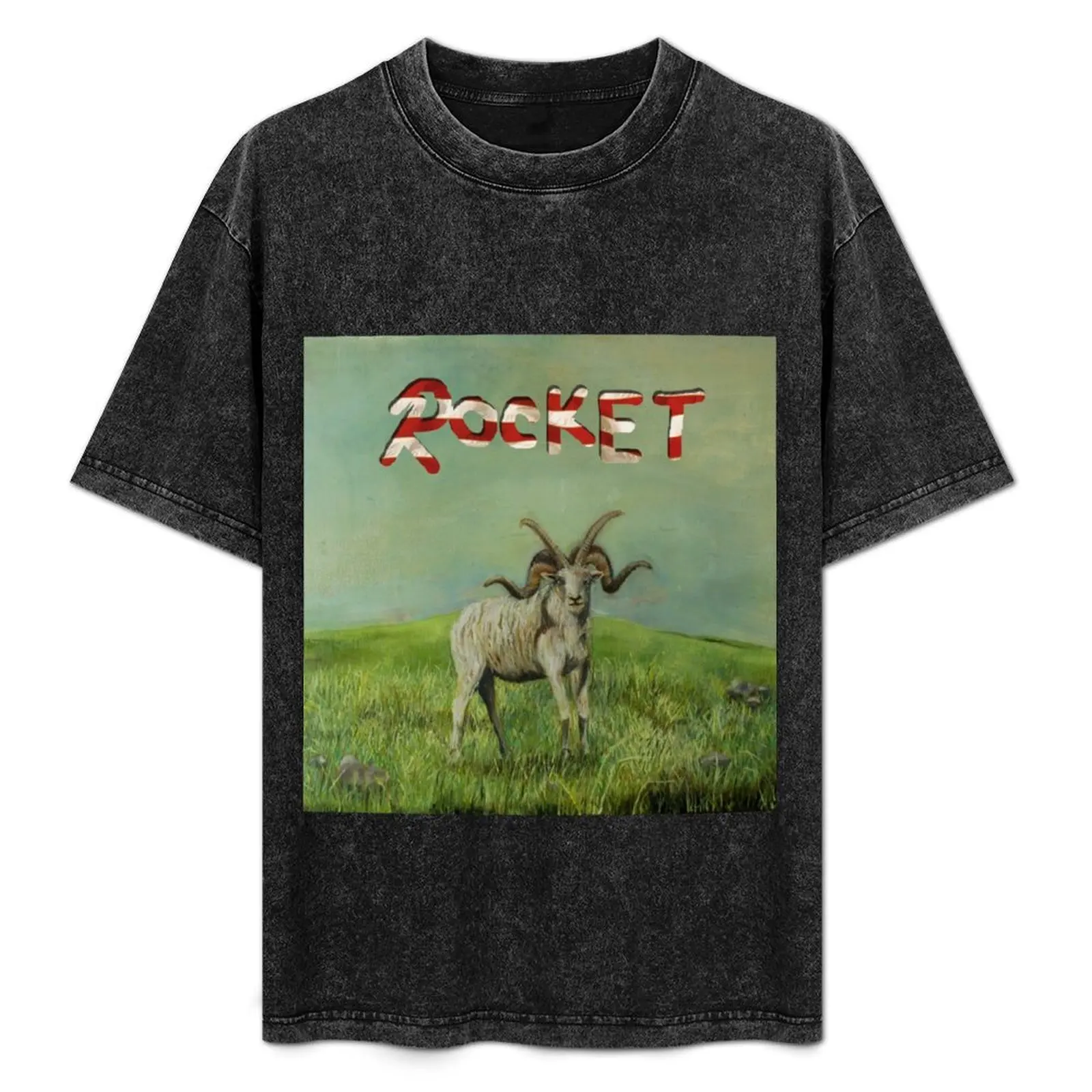 

(Sandy) Alex G Rocket Album Cover T-Shirt Festival Casual Short Sleeve