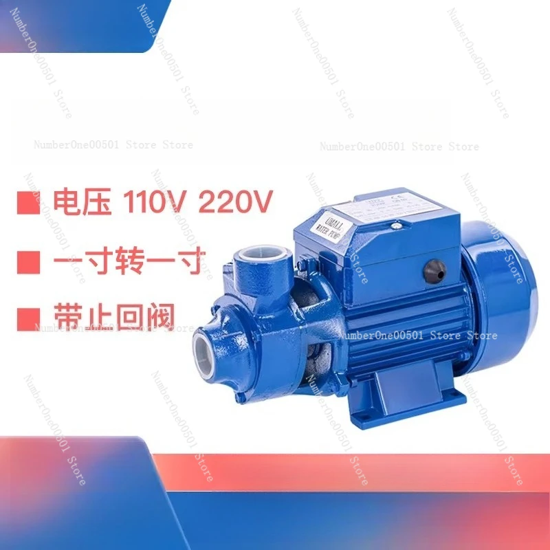 QB60 Bronze Booster Pump 1 Inch High Lift Water Pump for Boiler 110V 220V