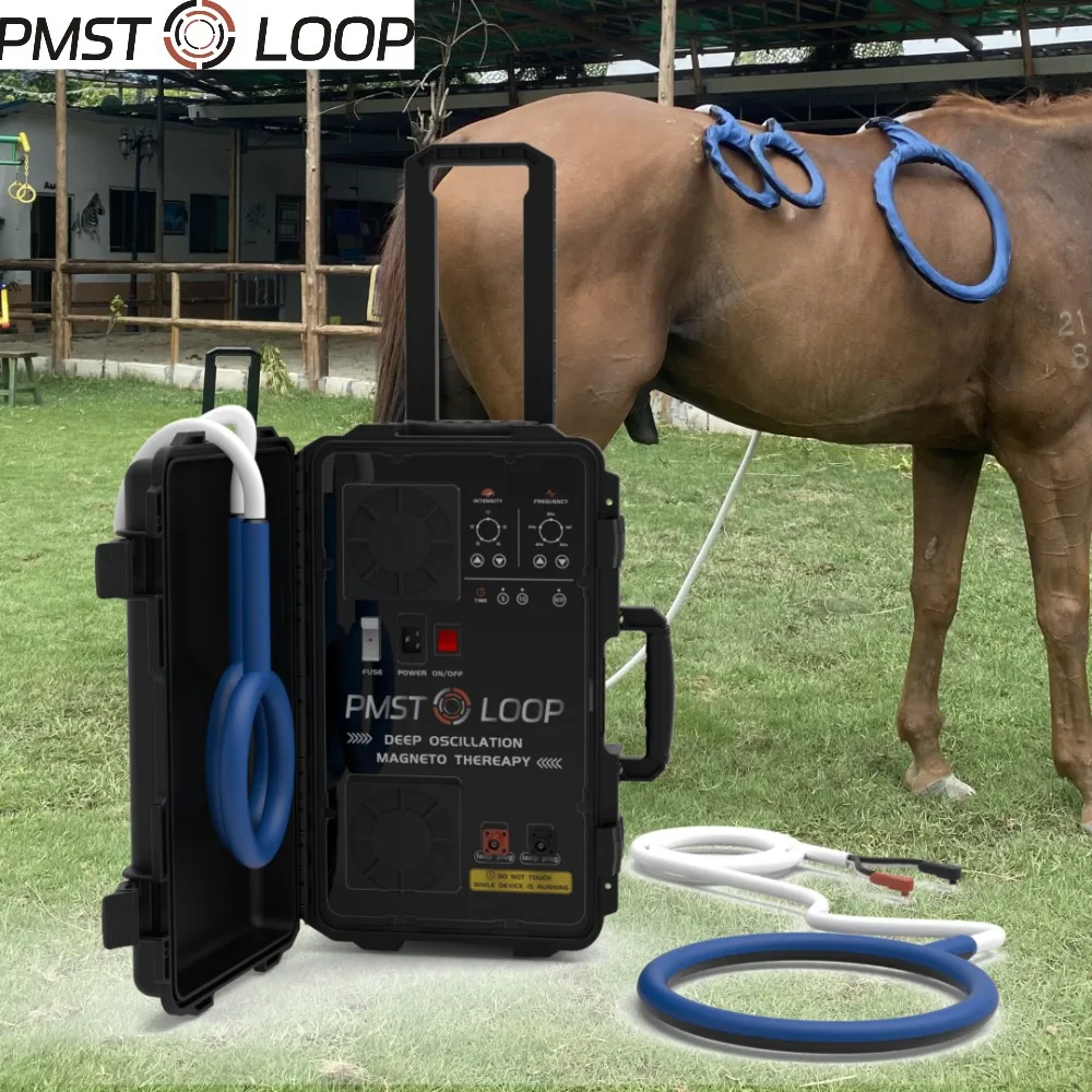 Equine PEMF Therapy Device PMST LOOP Hores Magnetic Physiotherapy Machine with X Wing Hoof Box Large Loop and Buttrfly Loop