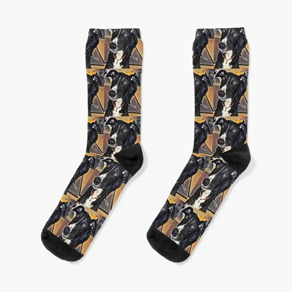 

Georgie Grey - Black and White Greyhound Socks custom sports winter gifts floral gift Socks Women's Men's