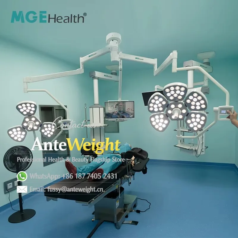Five/Three Petal Double Head LED Operating Light Manual Focus Endoscopy Mode Gynecology Obstetrics General Surgery Electricity