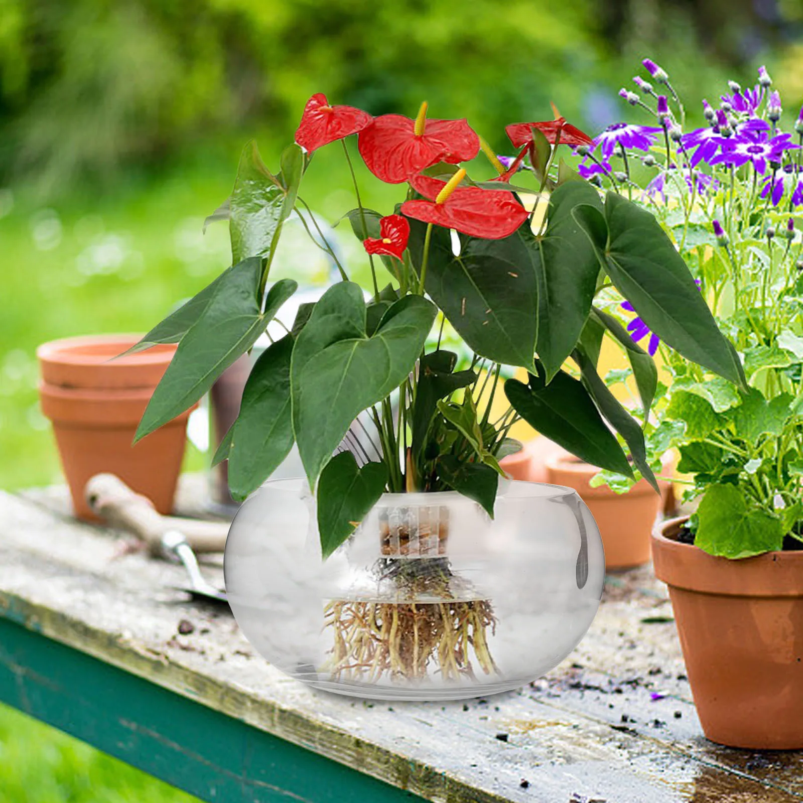 

Clear Glass Fish Bowl Planter Decorative Hydroponic Plant Pot Indoor Desktop Succulent Flowerpot Tank Container