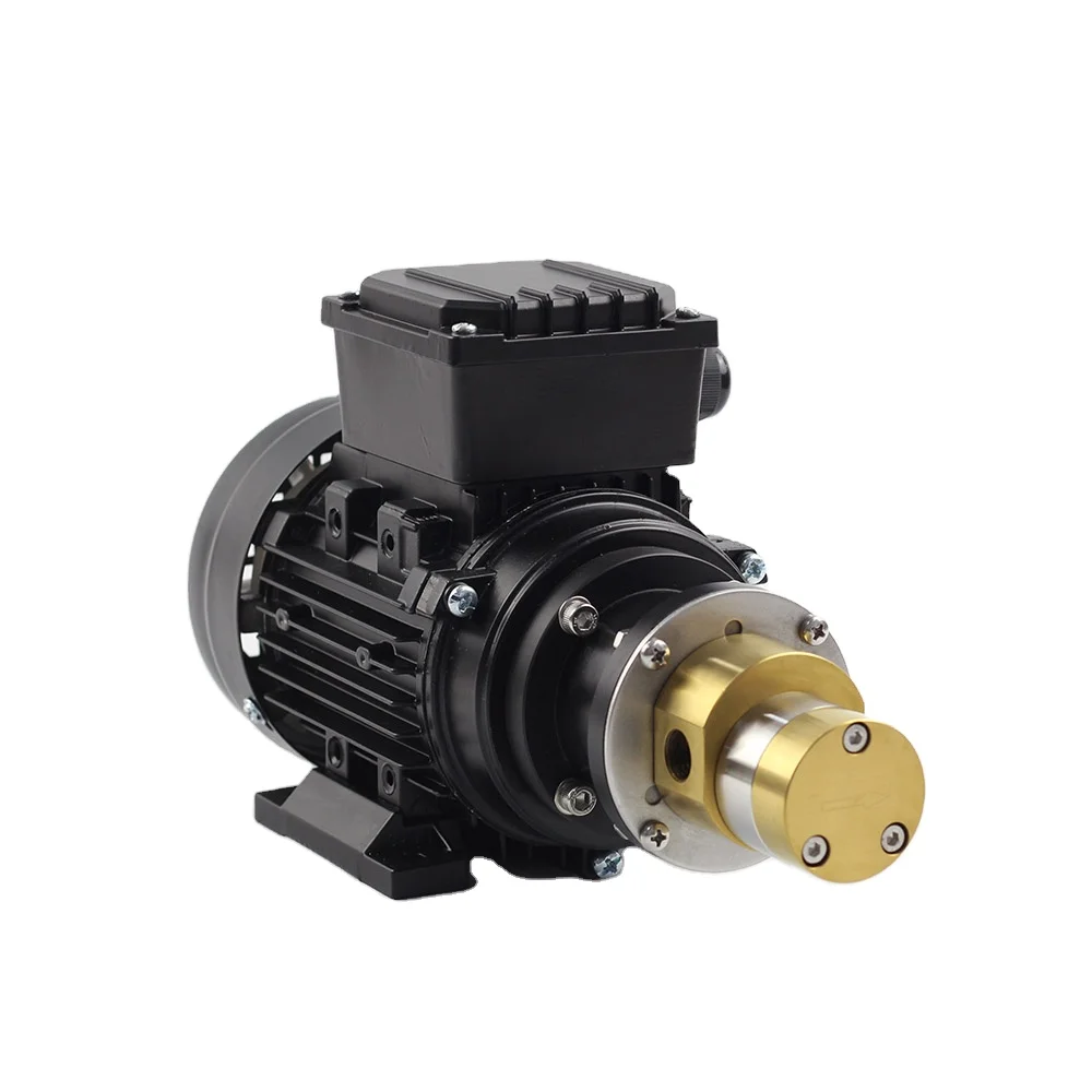 

Top Selling New Design High Pressure AC 220V Stainless Steel Magnetic Drive Gear Oil Transfer Micro Gear Jet 220 Volt Water Pump