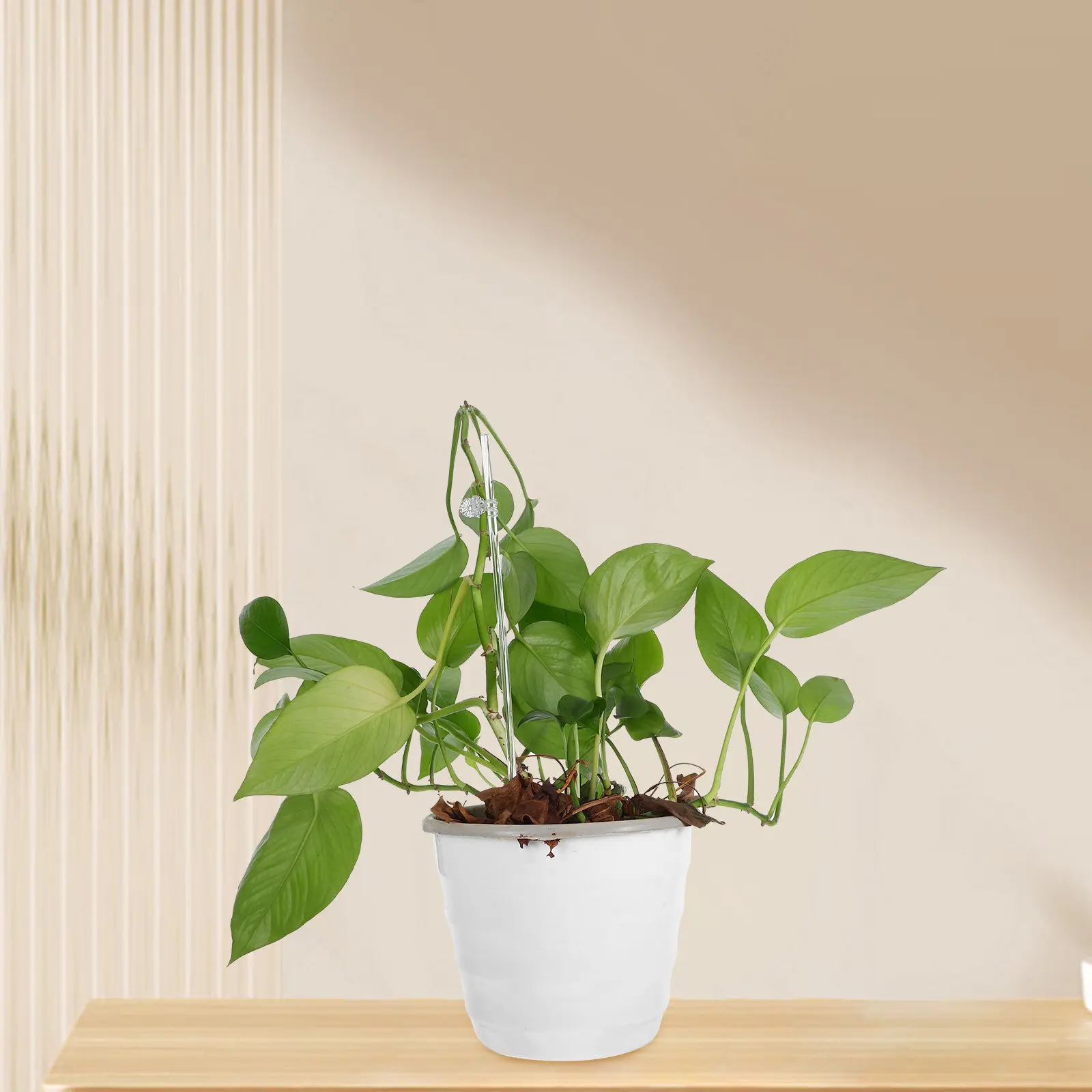 30Pcs Acrylic Plant Stakes Clips For Flower Pot Support Indoor Plants Decoration Transparent Stable Outdoor Potted