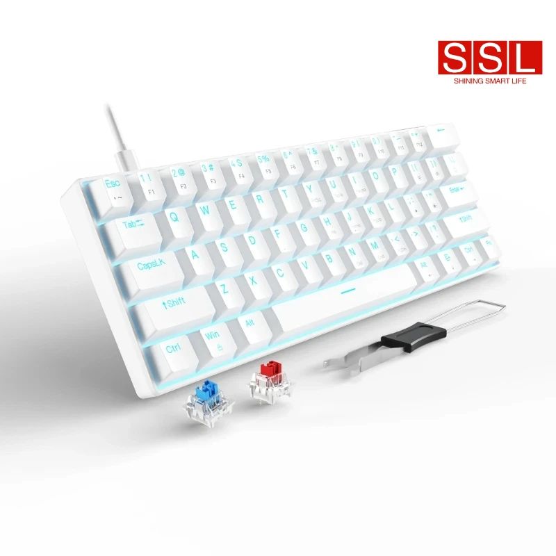 Ergonomics Keyboard LED Backlight  61 Keys 60% Mini Gaming Mechanical Keyboard Hotswap Type-C Wired Gaming PBT Keycaps For Gamer