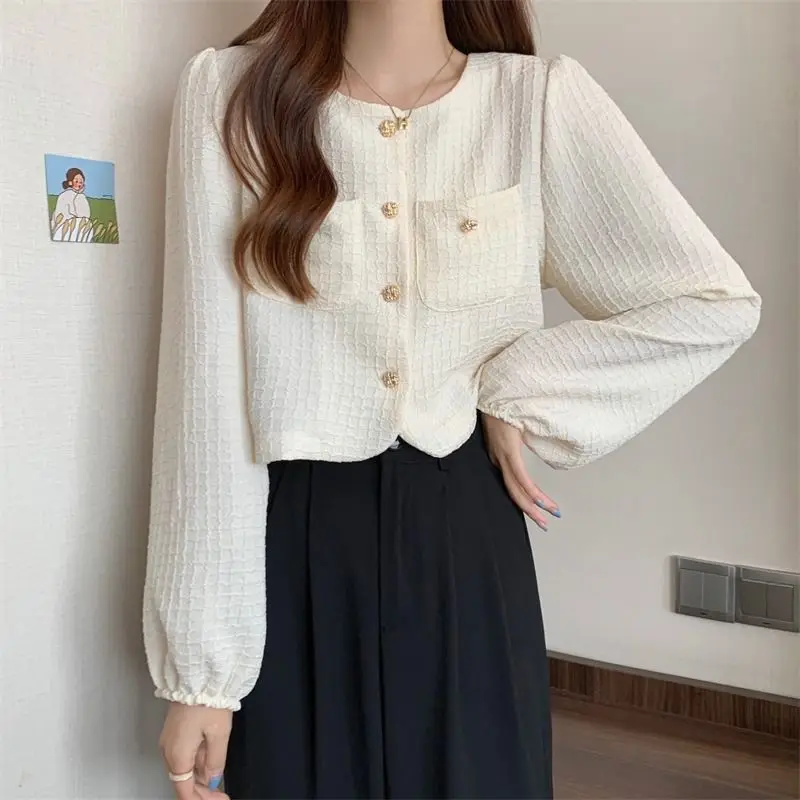 

Early Autumn New Classic Style Short Shirt Long Sleeve Women's Clothing Loose Design Niche Shirt Thin Chic Top