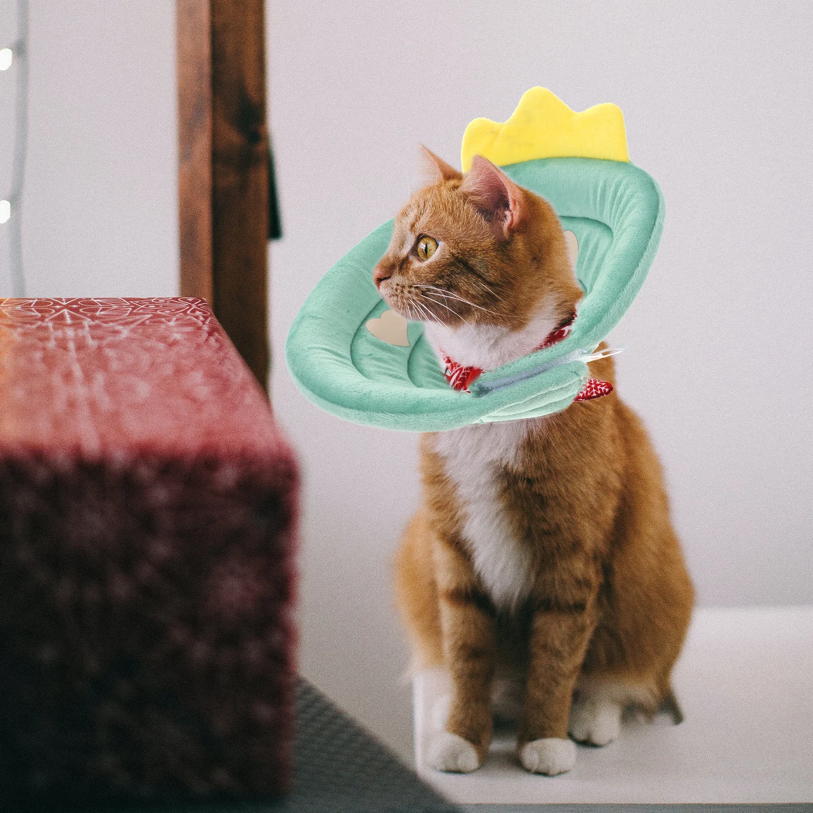 

Cat Recovery Collar Adjustable Soft Cone For Cats Small Dogs Post-Surgery Anti-Licking Chew Scratching Protection Pet