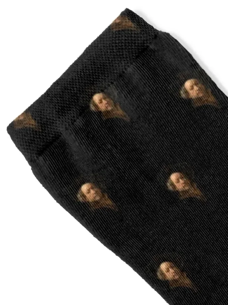 Rembrandt portrait Socks japanese fashion custom sports New year's Mens Socks Women's