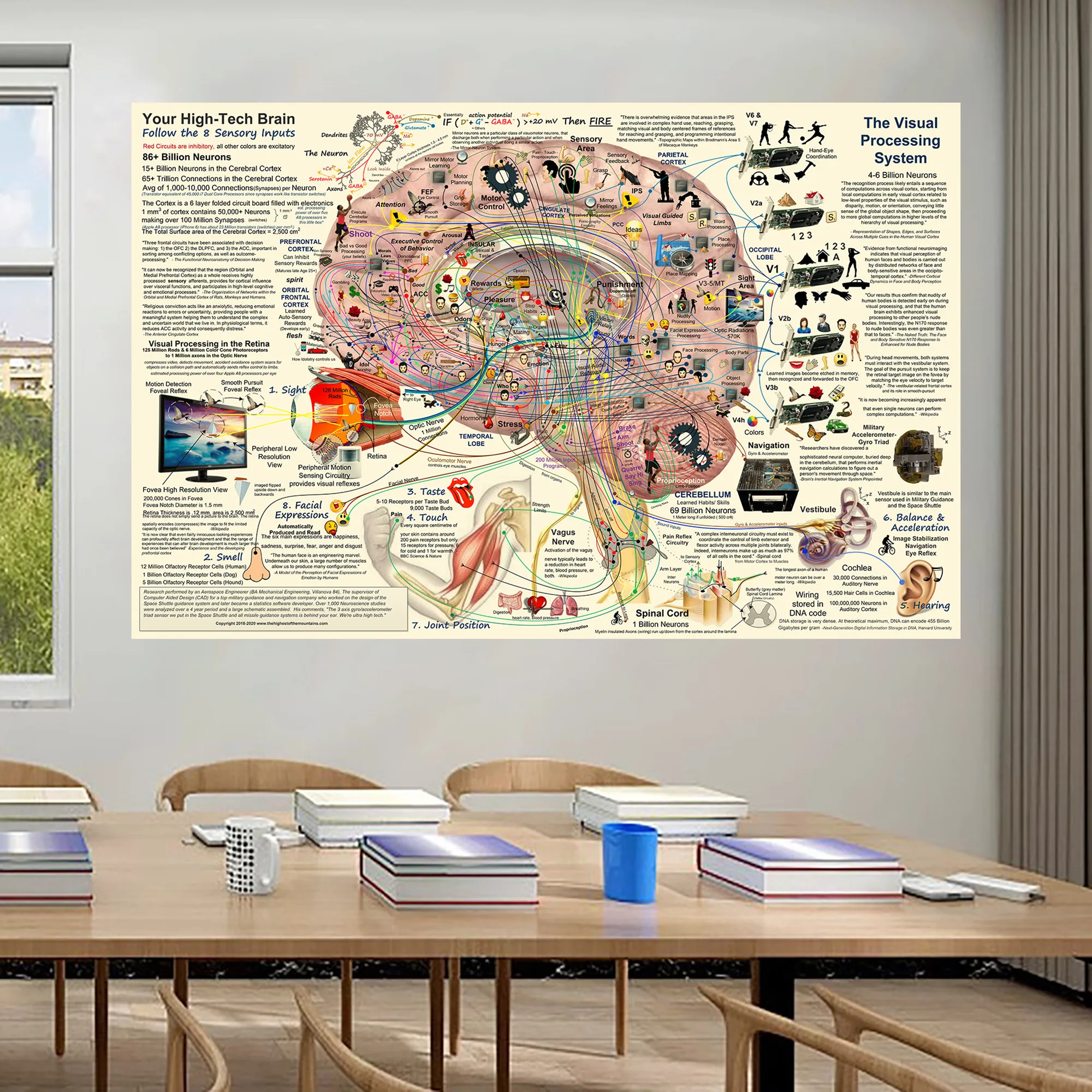 Poster und Drucke mit funktioneller Infografikstruktur des Gehirns – Hightech-Gehirn-Neurowissenschaften, Geist, Bild, Leinwandgemälde, Wandkunst