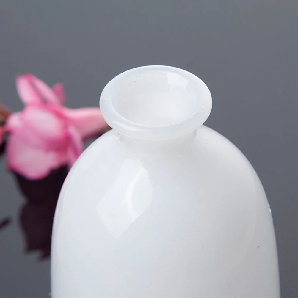 

1Pcs Glass Vase Bottle Shape White High Borosilicate Glass Strong Modern Curve Design Home Hotel Water Plant Decoration