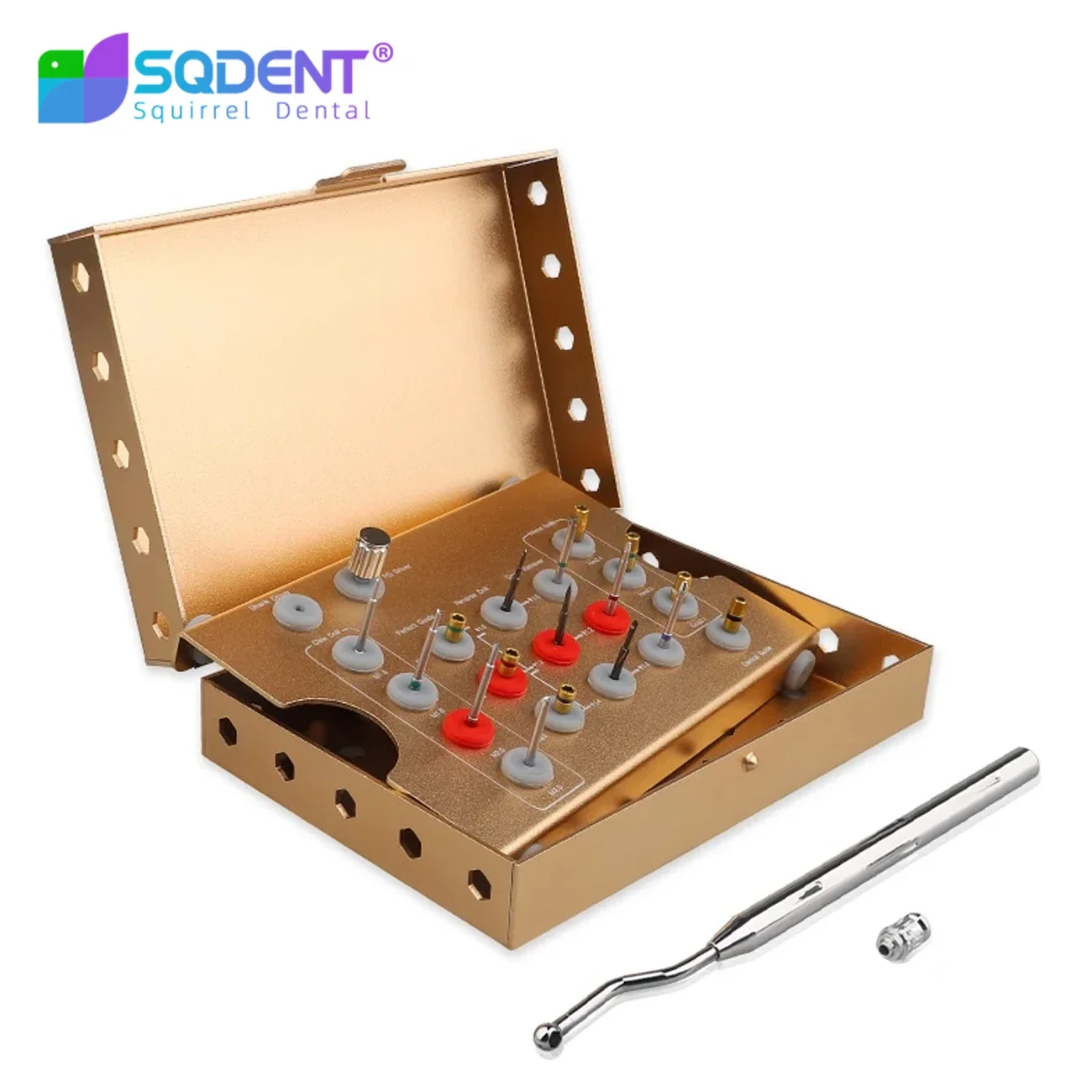 

SQDENT Dental Abutment Screw Implant Failure Emergency Tool Kit ,Implant Central Abutment Screw Removal Tool