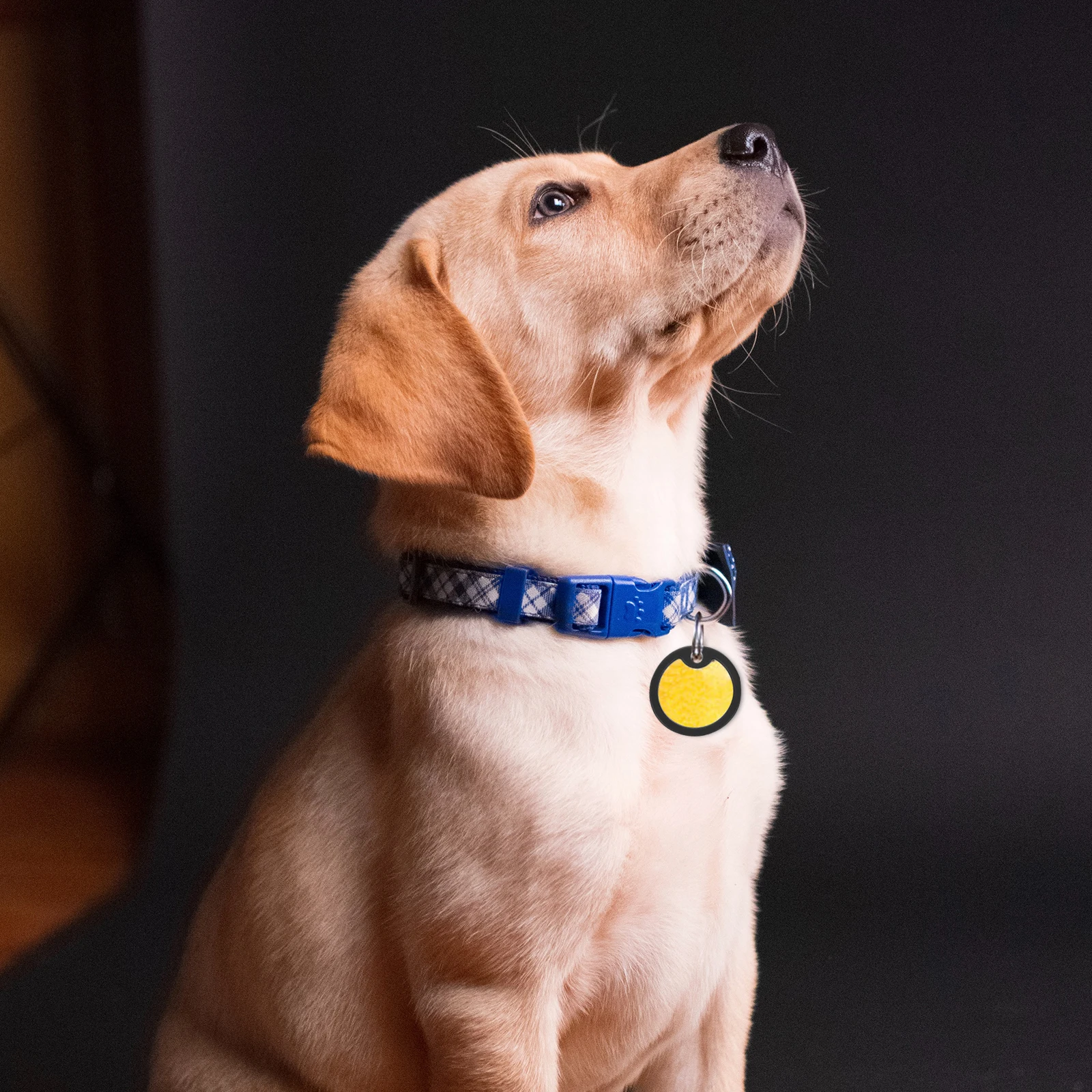 

6pcs Dog Tag Protectors Silicone Covers Noise Reduction Silent Circle Hoops Pet Mute Sleeves Dog Collar