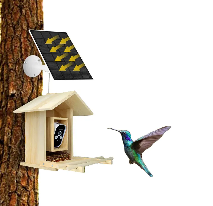 Wholesale Various Wooden Smart Bird Feeder with Solar Panel  WiFi Remote Control HD  Night Vision Custom