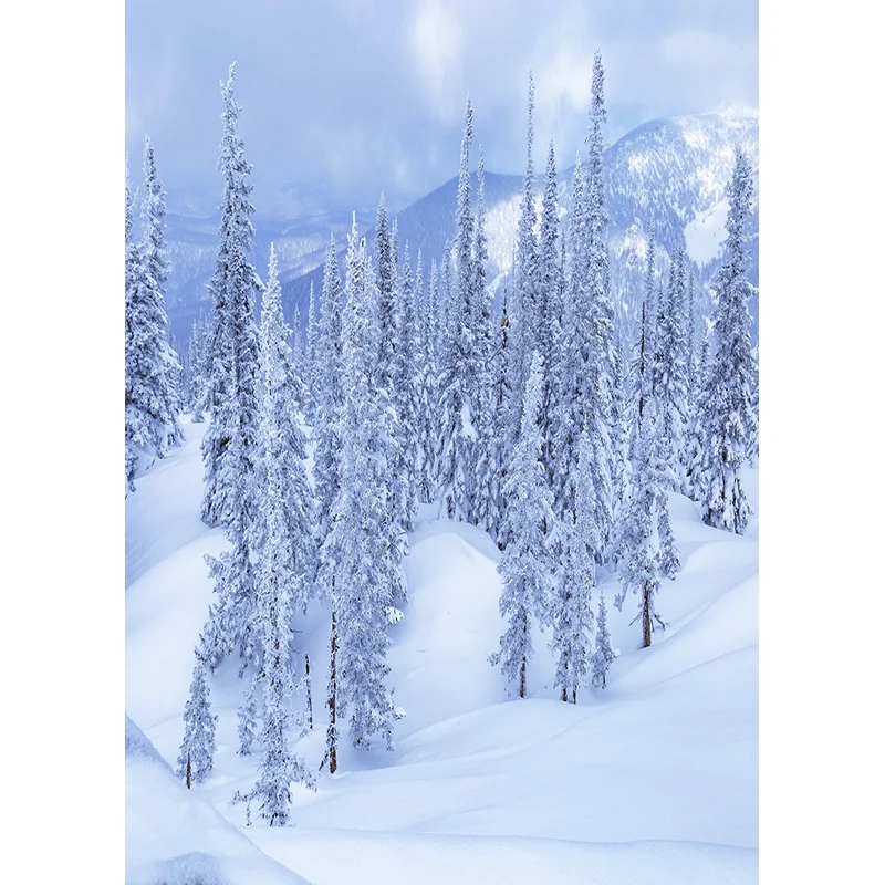 Photorealistic Fabric Photography Backdrops Prop Snow scene Photography Background  2021112XJ-02