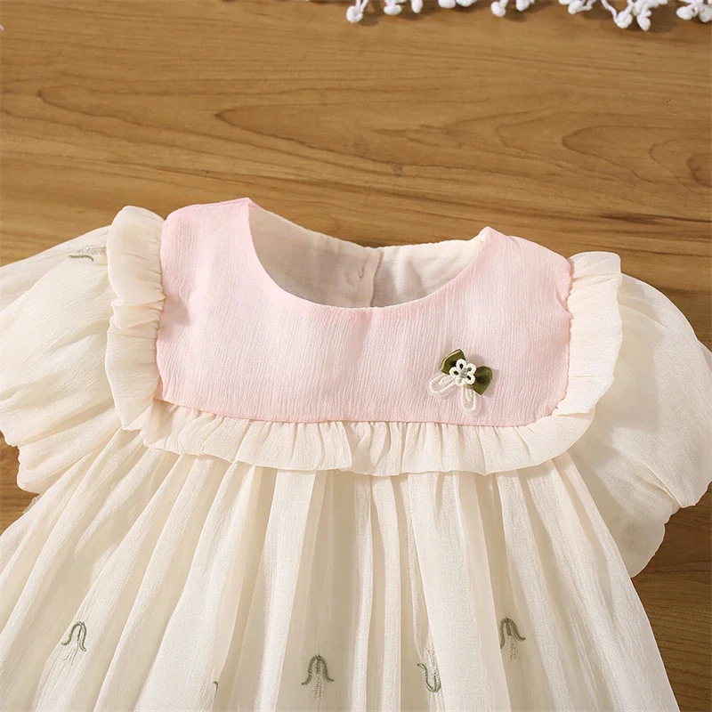 (0-3 Years Old) Girl Baby Girl Mesh Lace Embroidered Short Sleeved Dress Girl Cute Princess Dress