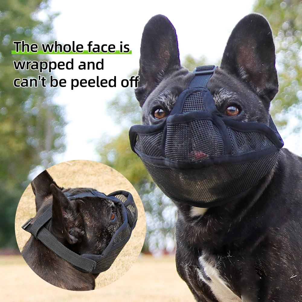 Máscara Facial Respirável de Malha para Cães de Focinho Curto, para Passeios de Verão, para Terrier e Bulldog Inglês, Produtos para Animais de Estimação