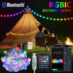 USB RGBIC Fairy String Light met Bluetooth APP en afstandsbediening LED-verlichting Snaren Waterdichte PVC-draad Kerstfeest DIY