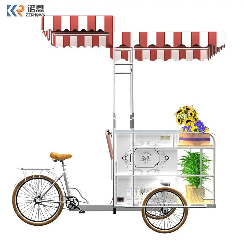 Congelador de helados de 110v con carrito de bicicleta, zona escénica, parque, mercado de tienda, atractivo, nuevo