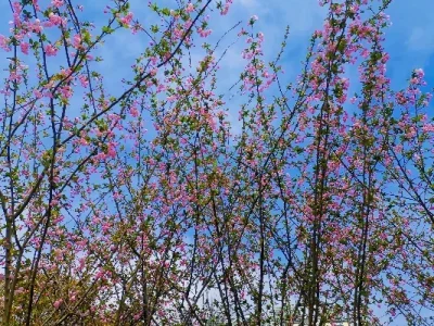 

Металлическая задняя балка для модификации и модернизации шестиколесного внедорожника 1/18 C8823 Unimog, аксессуары для тюнинга.