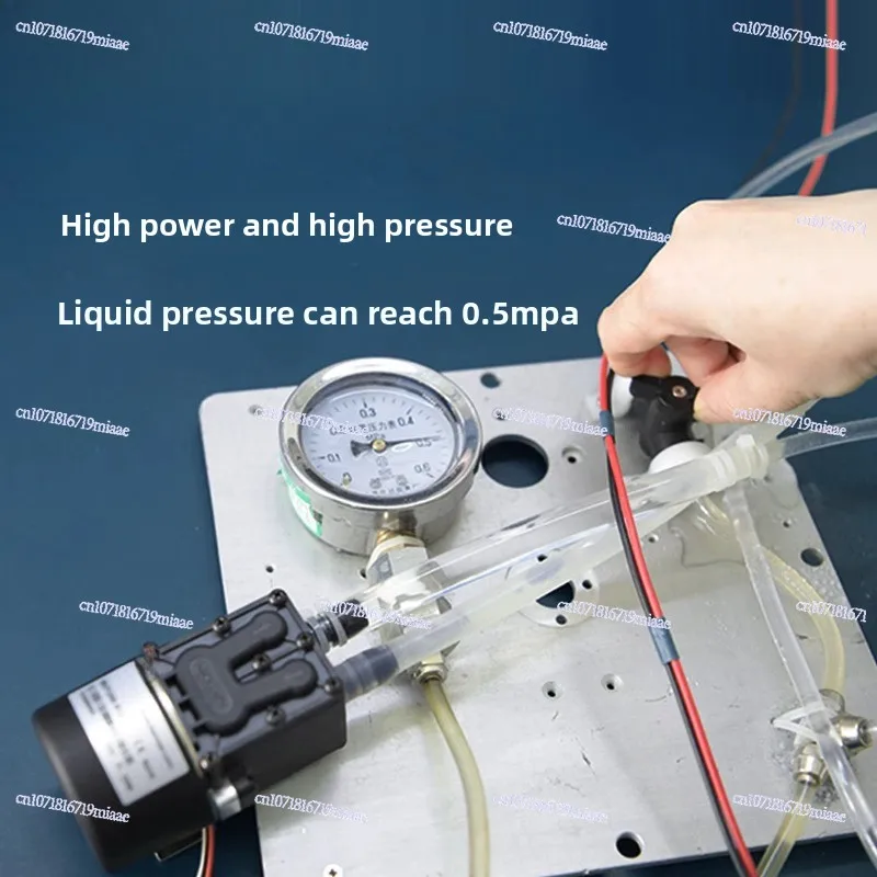 Diaphragm Pump Motor Micro Pump High Pressure Large Flow Self-priming Pump