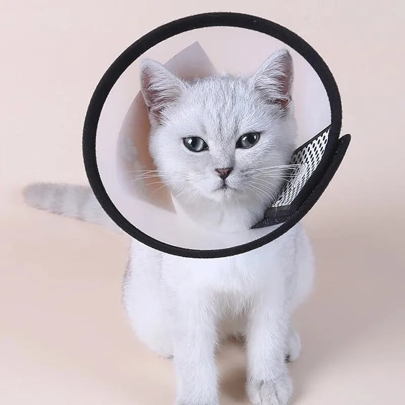 Elizabethan Collar Pet Anti-Bite Collar Dogs Cats Spay Medical Anti-Lick Collar Anti-Scratch Bite Pet Protection Supplies
