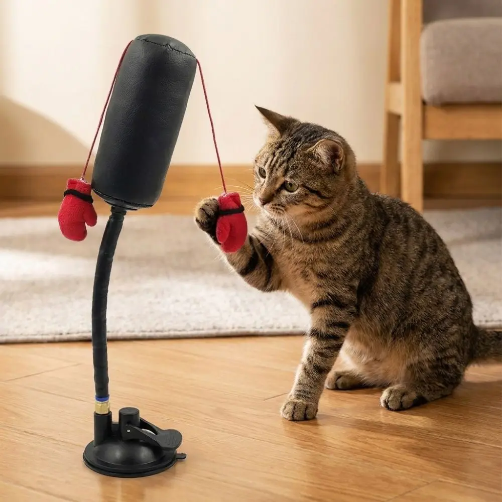 Suction Cup Cat Boxing Self-standing Scratch Trainer Pet Punching Bag Bite Resistant Scratch Resistant Interactive Cat