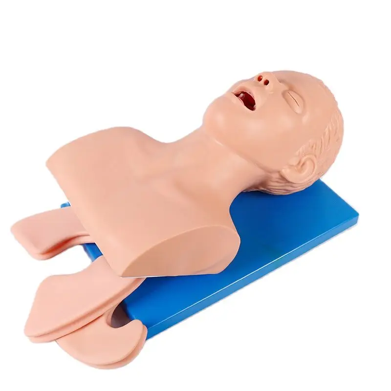 PVC Adult Intubation Manikin Teaching Model, Airway Management Trainer Tracheal Intubation Training Simulator Model, Science Lab