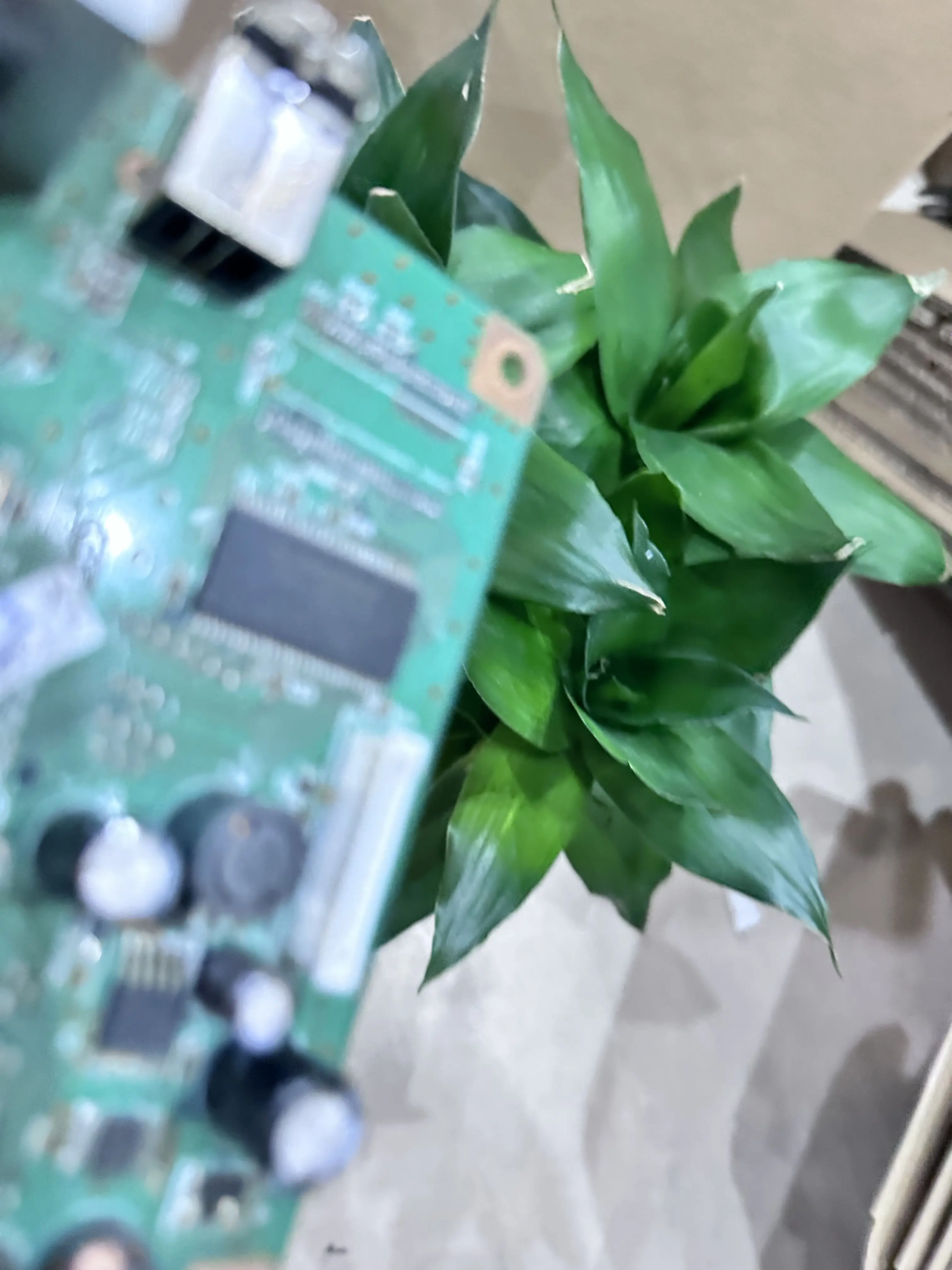 C655 Main. Epson R1… - image