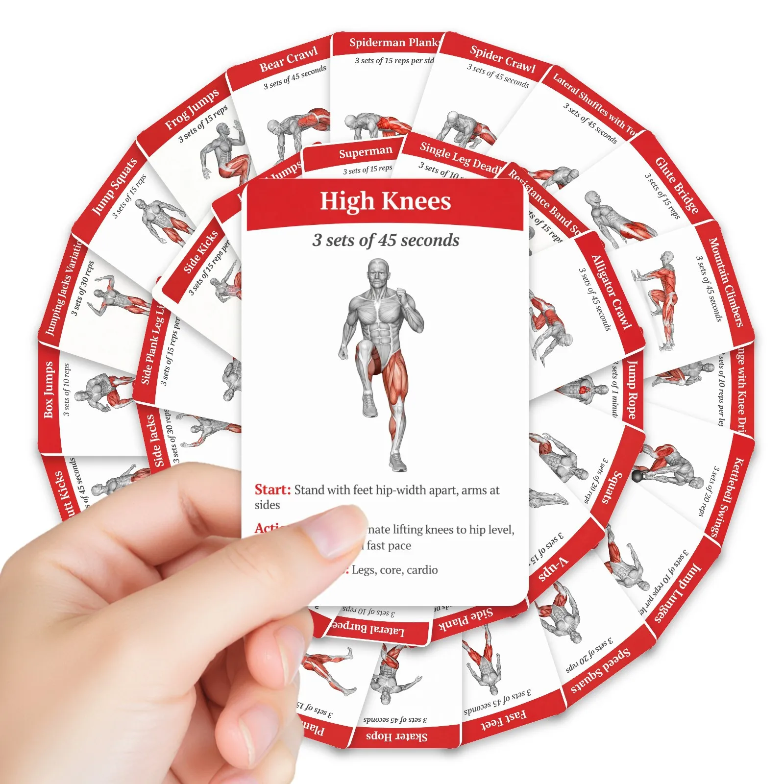 Cartes de guide d'entraînement pour brûler les graisses du corps entier, 36 pièces, diagramme musculaire, cartes d'instructions d'entraînement à domicile pour débutants en fitness