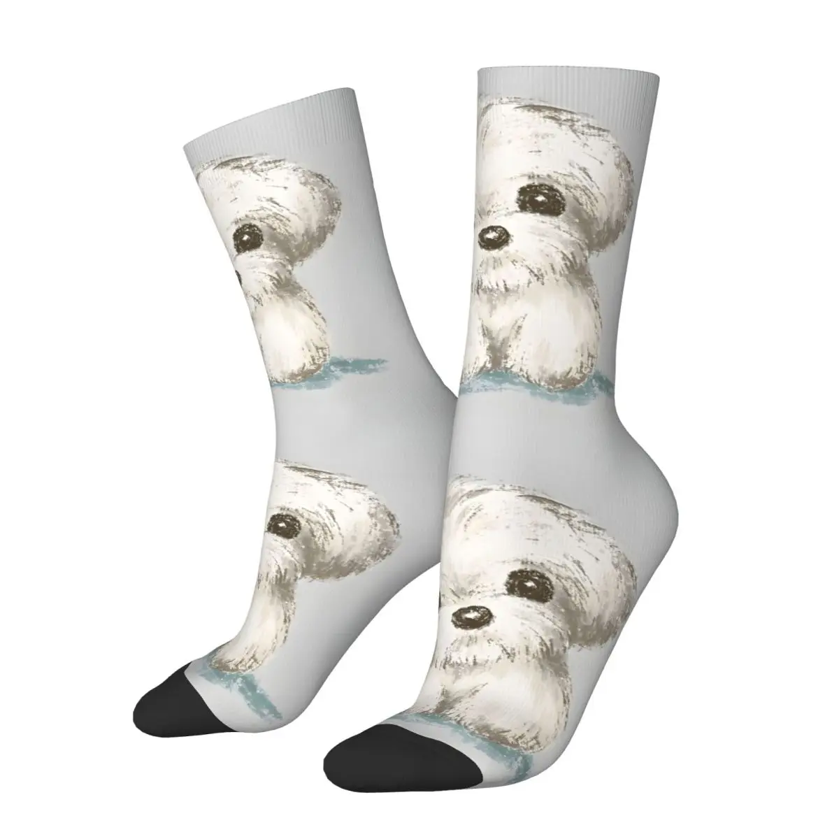 Funny Happy Sock for Men Portrait Of Maltese Vintage Breathable Pattern Printed Crew Sock Seamless Gift