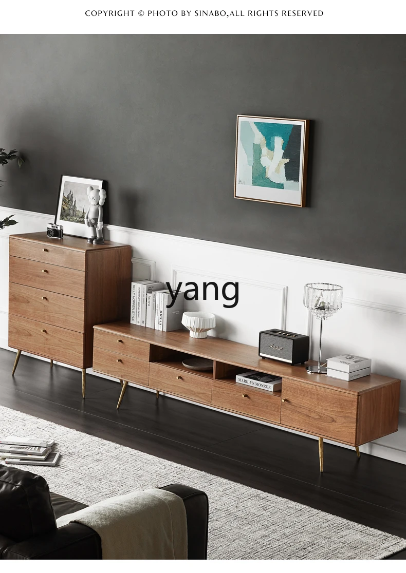 

LH Modern Minimalist Walnut Color TV Cabinet and Coffee Table Set for Living Room
