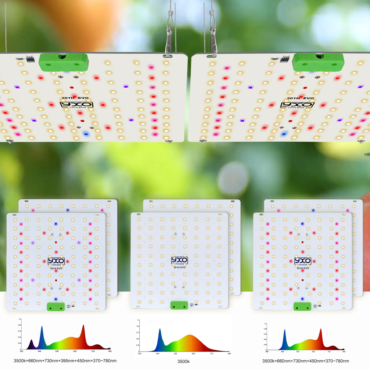 Imagem -02 - Full Spectrum Led Grow Light Regulável Lm301h Evo Phytolamp Plantas Hidropônicas Tenda Estufa Veg Flor 85265v 130w 180w