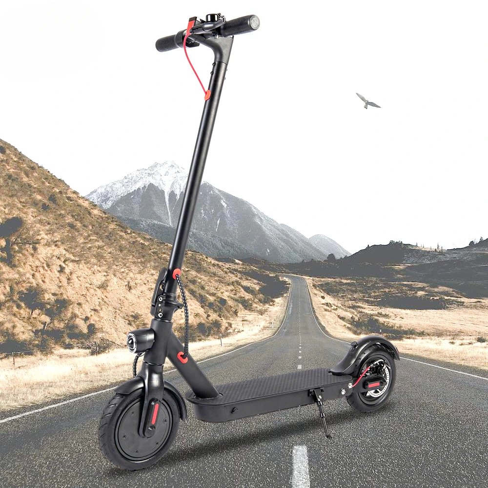 

E9D 350 Watt Electric Scooter